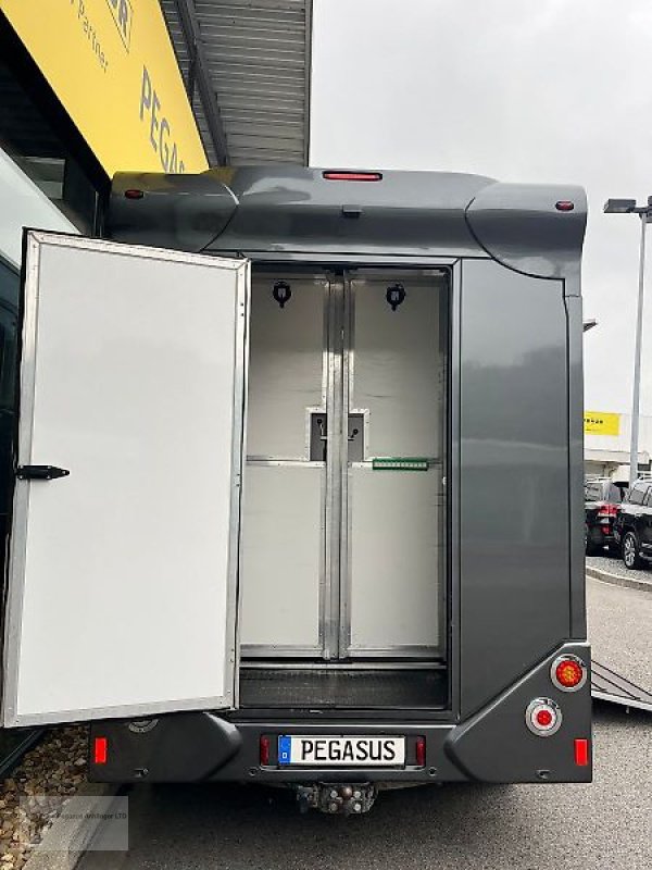 LKW a típus Renault Master 2 Pferdetransporter Hengstausst. 1.Hnd, Gebrauchtmaschine ekkor: Gevelsberg (Kép 8)