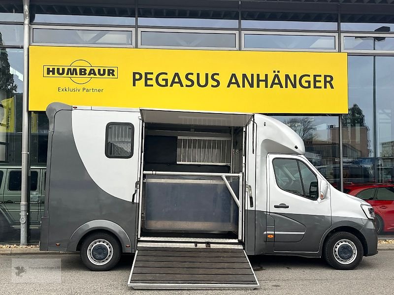 LKW Türe ait Renault Master 2 Pferdetransporter Hengstausst. 1.Hnd, Gebrauchtmaschine içinde Gevelsberg (resim 5)