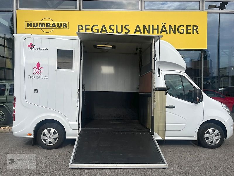 LKW a típus Renault Roelofsen Parados Sport 2 Pferdetransporter 3,5t, Gebrauchtmaschine ekkor: Gevelsberg (Kép 5)