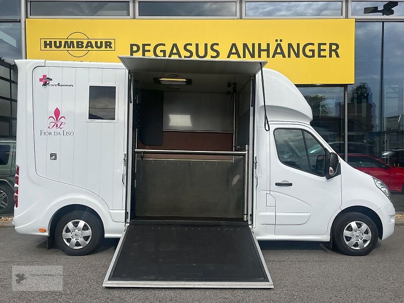 LKW a típus Renault Roelofsen Parados Sport 2 Pferdetransporter 3,5t, Gebrauchtmaschine ekkor: Gevelsberg (Kép 4)