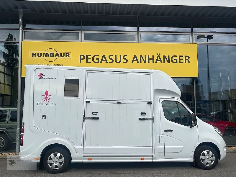 LKW typu Renault Roelofsen Parados Sport 2 Pferdetransporter 3,5t, Gebrauchtmaschine v Gevelsberg (Obrázek 3)