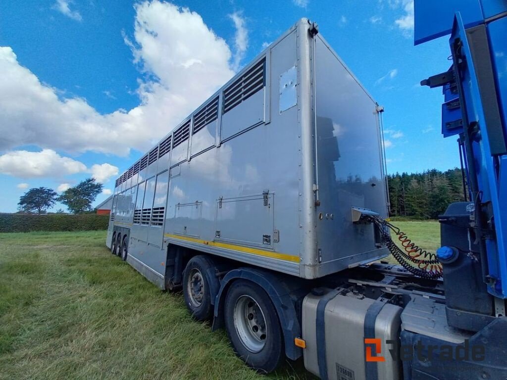 LKW typu Sonstige Gray Adams Trailer for kvægtransport, Gebrauchtmaschine v Rødovre (Obrázek 3)