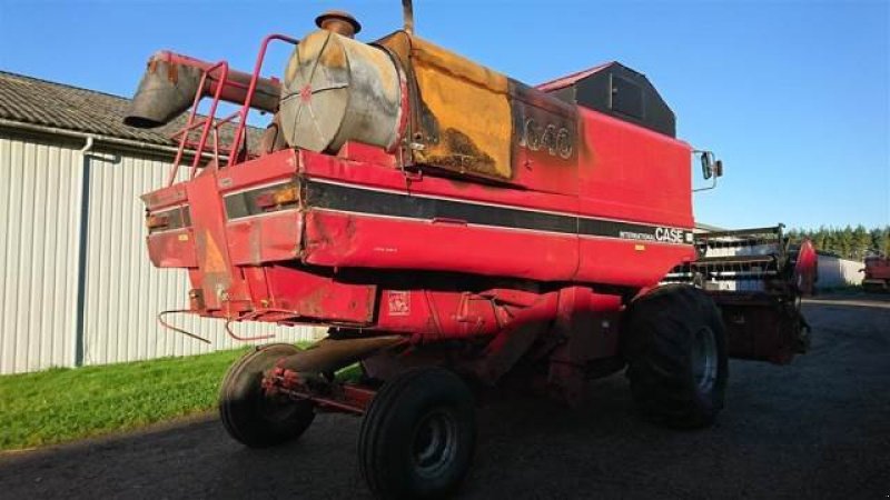 Mähdrescher tip Case IH 1640, Gebrauchtmaschine in Hemmet (Poză 5)