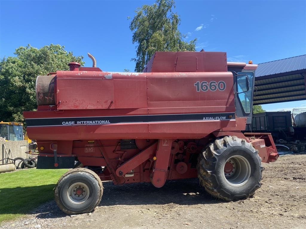 Mähdrescher del tipo Case IH 1660 med 1030 skærebord. Velholdt maskine., Gebrauchtmaschine en øster ulslev (Imagen 4)