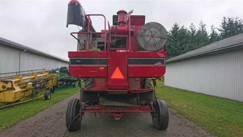 Mähdrescher of the type Case IH 1660, Gebrauchtmaschine in Hemmet (Picture 4)