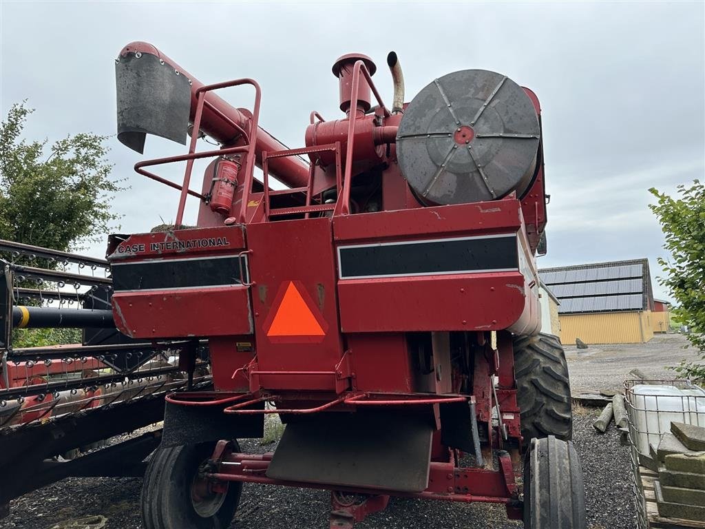 Mähdrescher типа Case IH 1660, Gebrauchtmaschine в øster ulslev (Фотография 3)