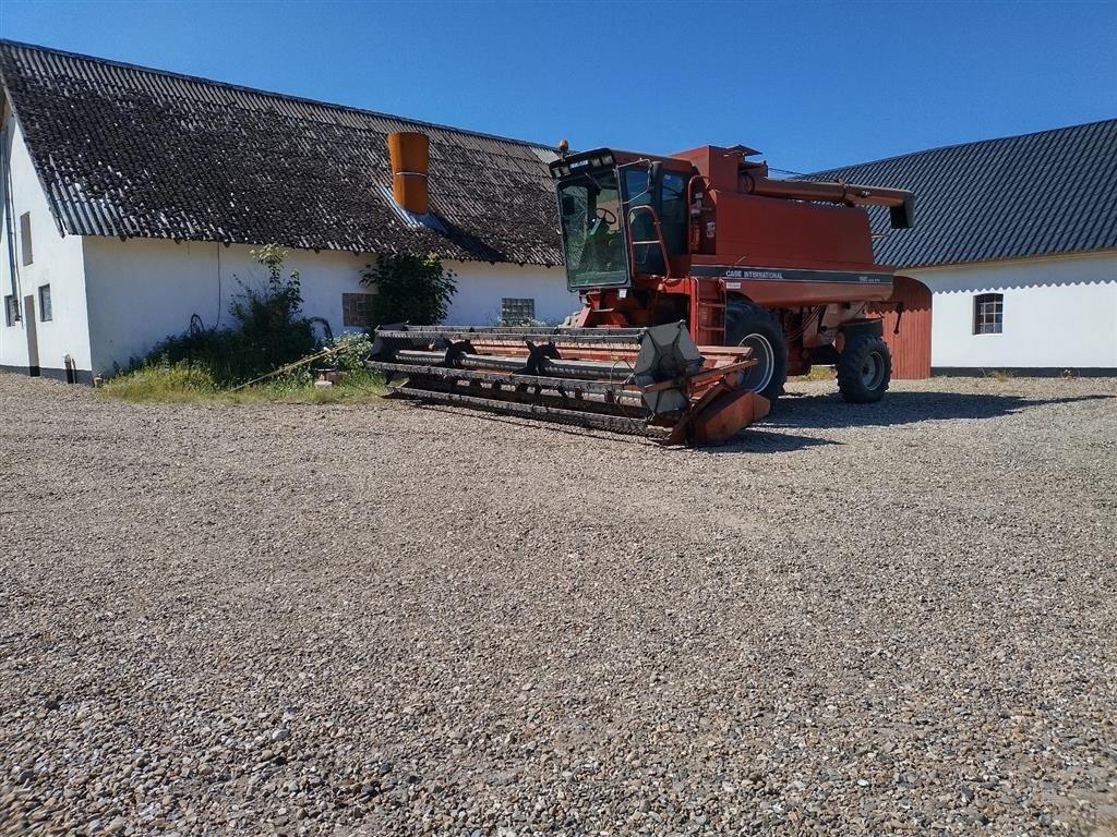 Mähdrescher of the type Case IH 1680 E 22 fod skærebord og ekstra bredde hjul, Gebrauchtmaschine in Aulum (Picture 2)