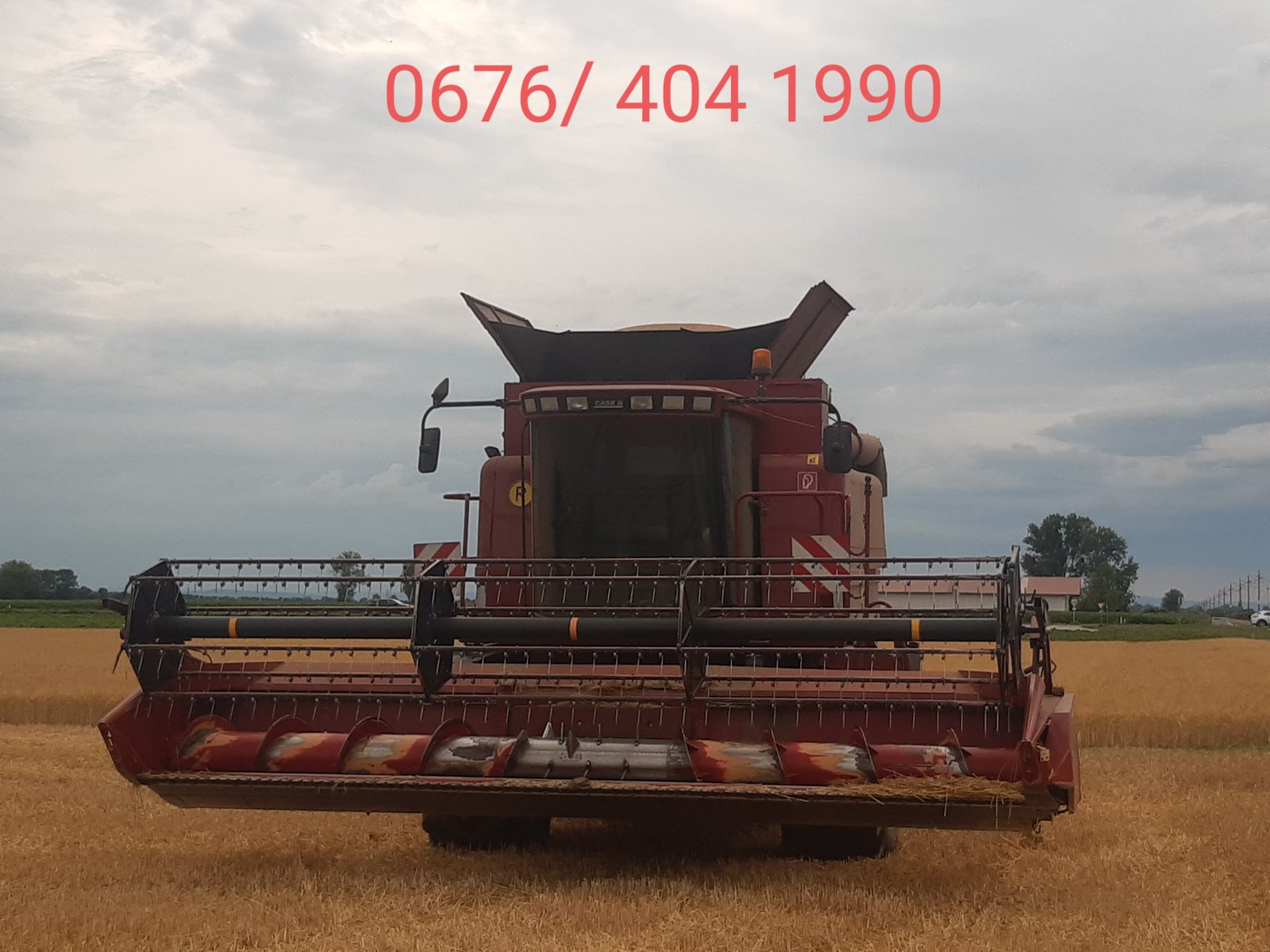 Mähdrescher του τύπου Case IH 2388 Axialflow, Gebrauchtmaschine σε Hausleiten (Φωτογραφία 3)