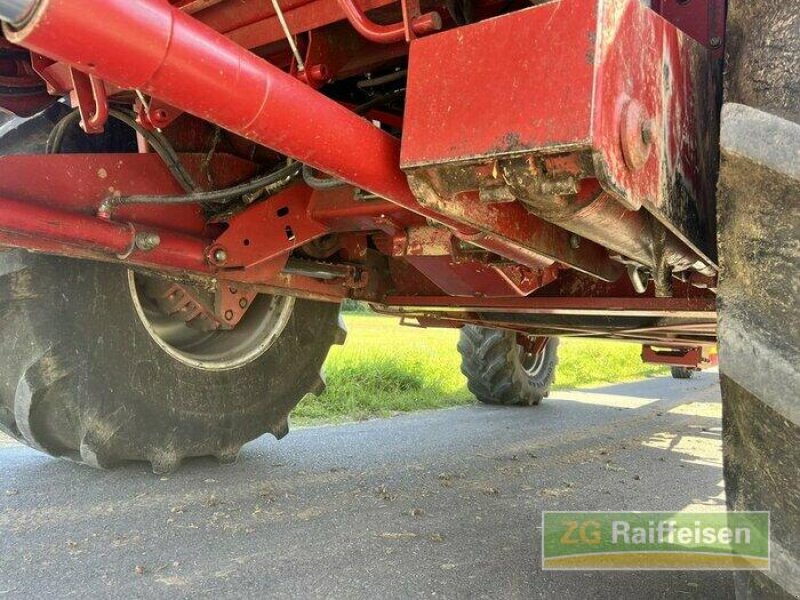 Mähdrescher of the type Case IH 2388, Gebrauchtmaschine in Walldürn (Picture 11)