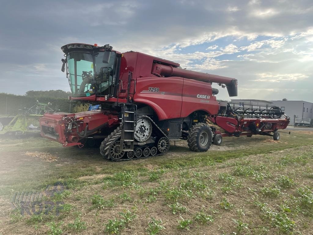 Mähdrescher typu Case IH 7250, BJ22, 186 Bsd.Raupe Allrad, Neuwertig, Gebrauchtmaschine v Schutterzell (Obrázok 11)