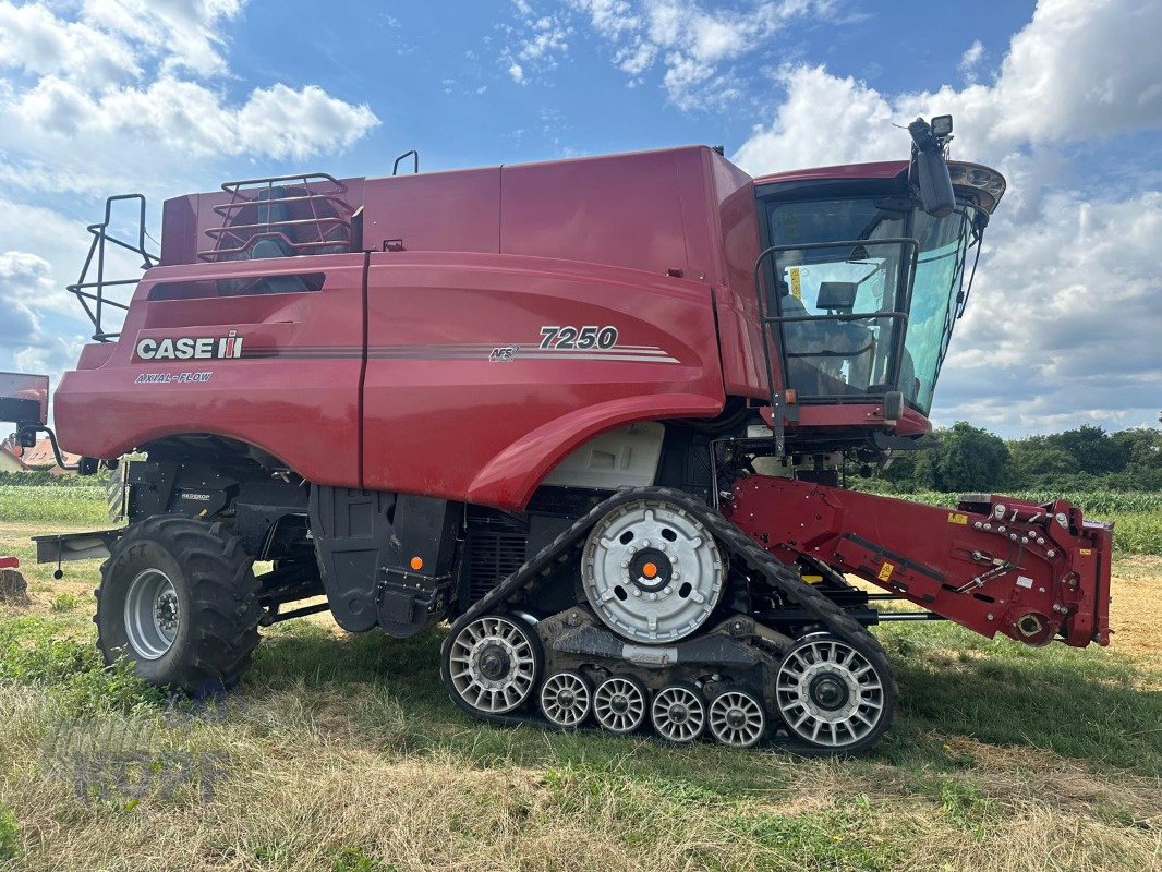 Mähdrescher typu Case IH 7250, BJ22, 186 Bsd.Raupe Allrad, Neuwertig, Gebrauchtmaschine w Schutterzell (Zdjęcie 10)