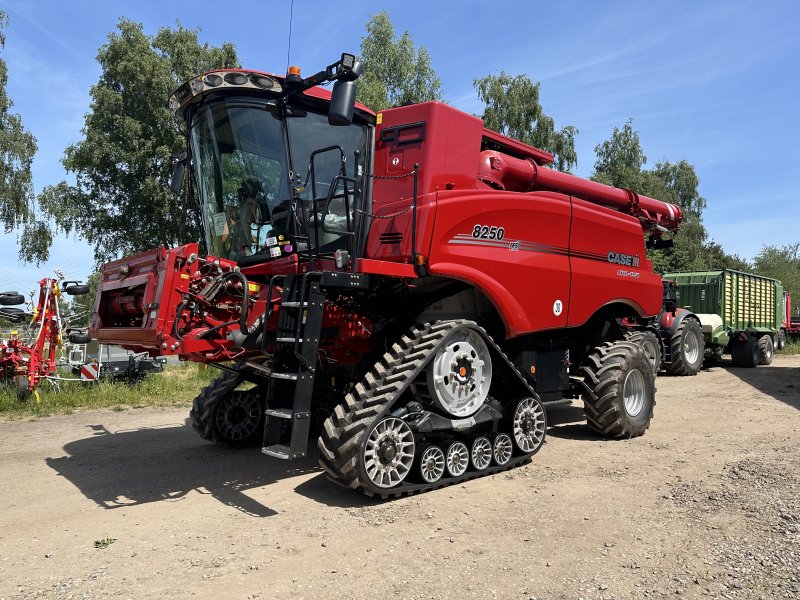 Mähdrescher des Typs Case IH 8250 AXIAL-FLOW, Gebrauchtmaschine in Klempau (Bild 1)