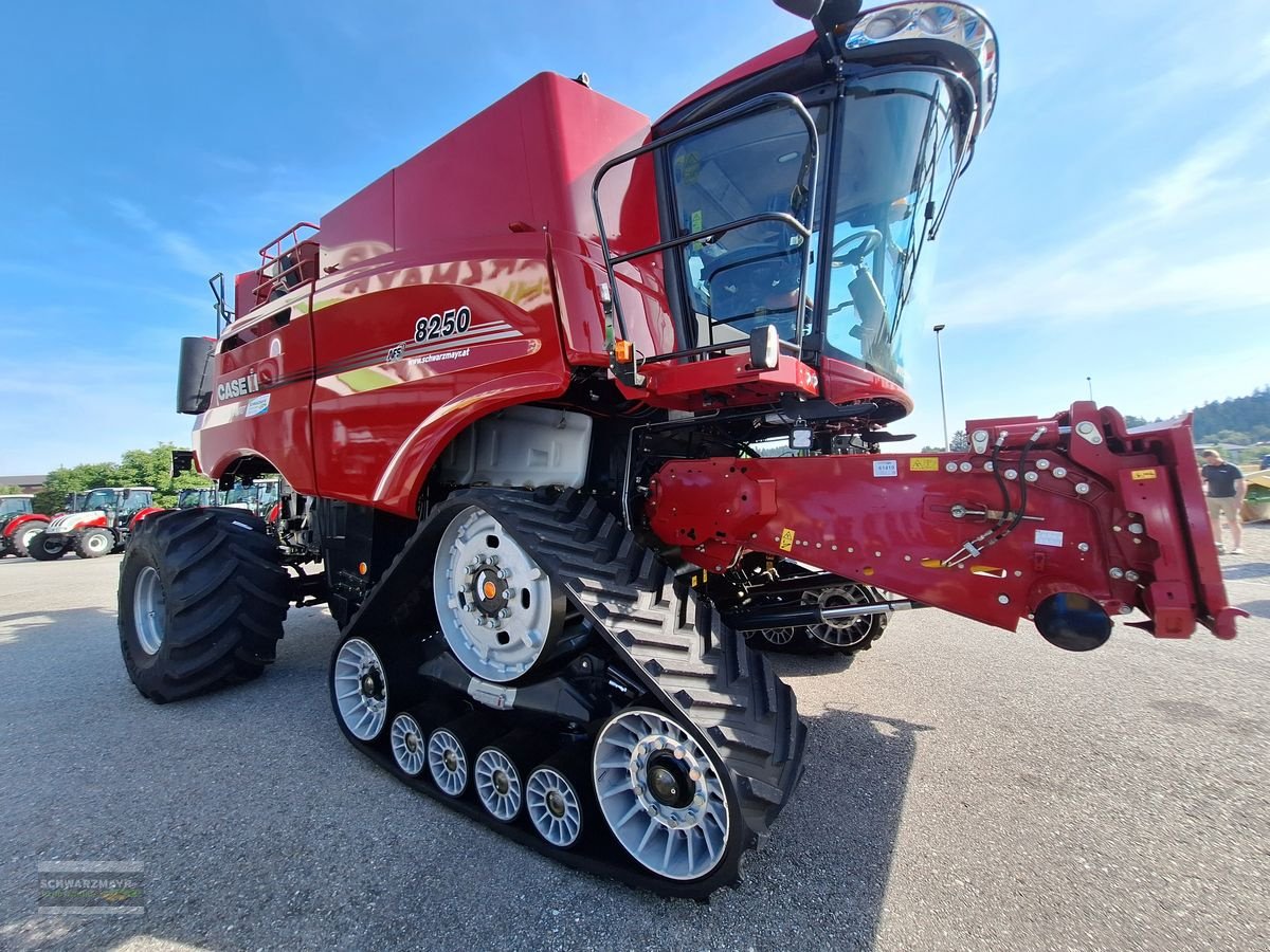 Mähdrescher van het type Case IH 8250 Axial Flow, Mietmaschine in Gampern (Foto 4)