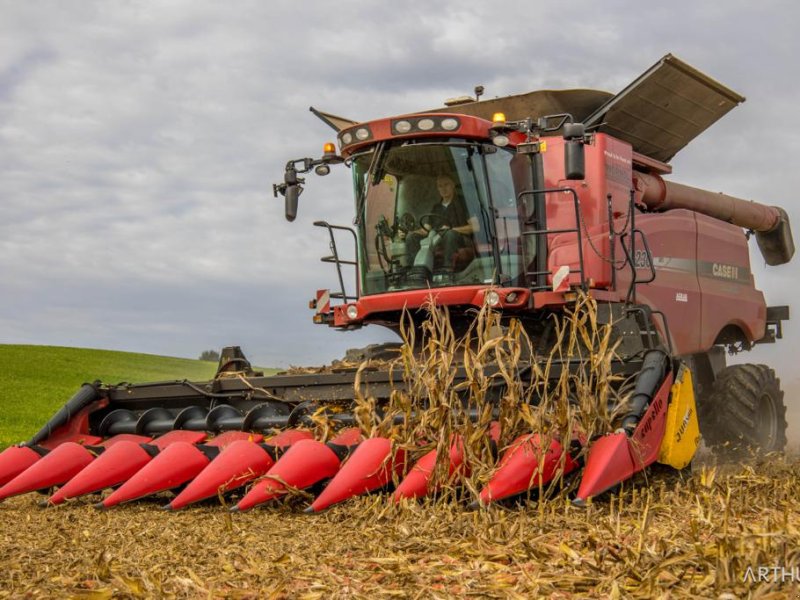 Mähdrescher tip Case IH 9230 AF, Gebrauchtmaschine in Ansfelden