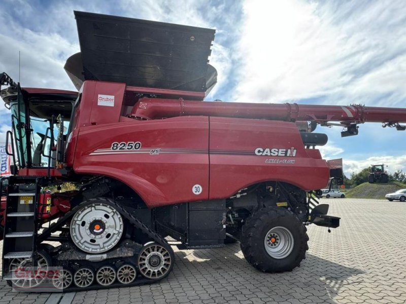 Mähdrescher от тип Case IH AF 8250, Gebrauchtmaschine в Nordhausen OT Hesserode (Снимка 1)