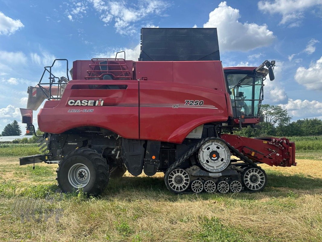 Mähdrescher of the type Case IH Axial  7250   Raupe   Allrad    Neuwertig, Gebrauchtmaschine in Schutterzell (Picture 16)