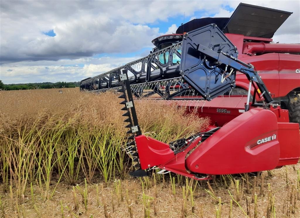 Mähdrescher of the type Case IH AXIAL-FLOW 8250 med 35 fods Case IH skærebord, Gebrauchtmaschine in Horsens (Picture 3)