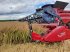 Mähdrescher typu Case IH AXIAL-FLOW 8250 med 35 fods Case IH skærebord, Gebrauchtmaschine v Horsens (Obrázek 3)