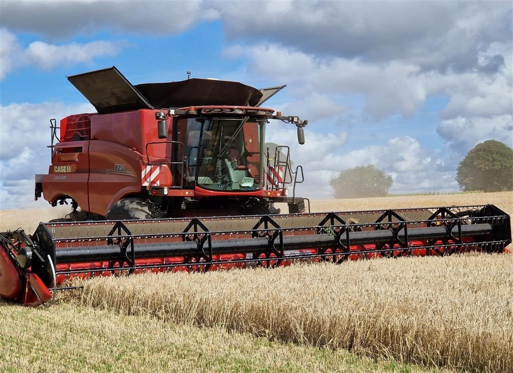 Mähdrescher del tipo Case IH AXIAL-FLOW 8250 med 35 fods Case IH skærebord, Gebrauchtmaschine In Horsens (Immagine 1)