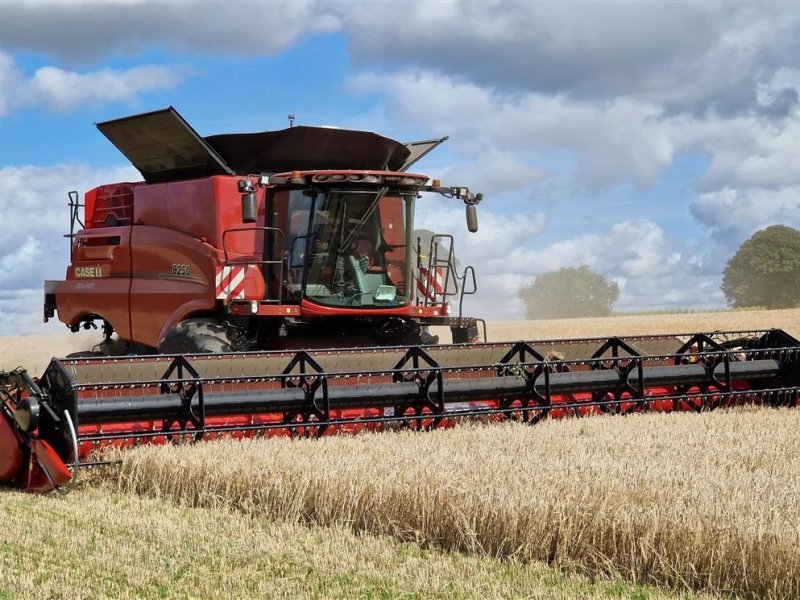 Mähdrescher tip Case IH AXIAL-FLOW 8250 med 35 fods Case IH skærebord, Gebrauchtmaschine in Horsens (Poză 1)