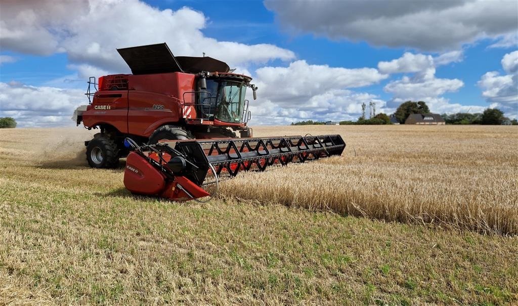 Mähdrescher typu Case IH AXIAL-FLOW 8250 med 35 fods Case IH skærebord, Gebrauchtmaschine w Horsens (Zdjęcie 2)