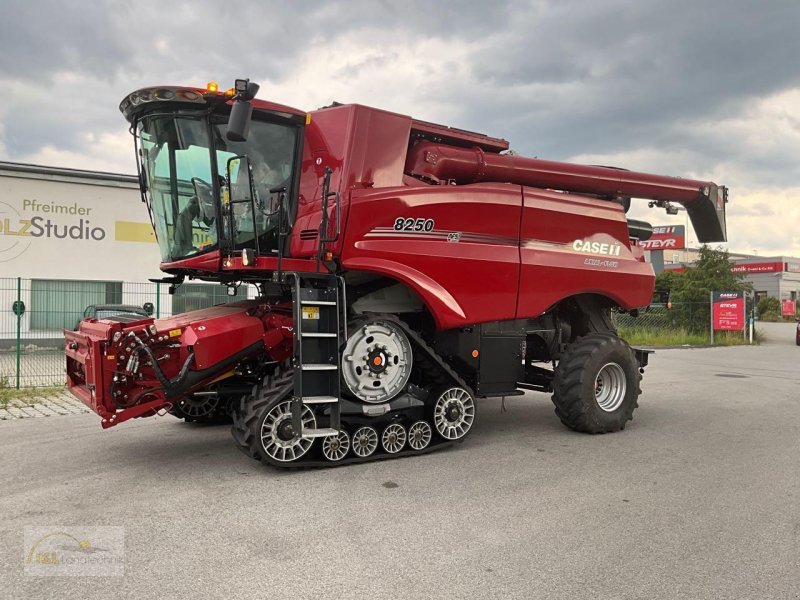 Mähdrescher of the type Case IH Axial-Flow 8250 Raupe, Neumaschine in Pfreimd (Picture 1)