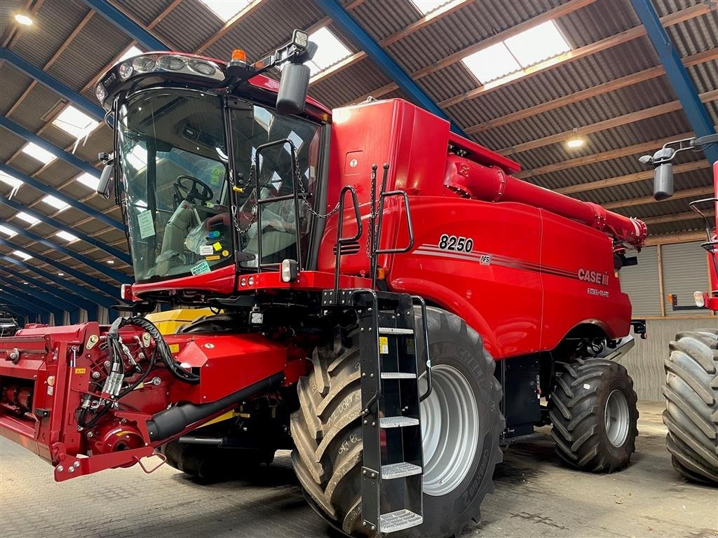 Mähdrescher типа Case IH AXIAL-FLOW 8250, Gebrauchtmaschine в Aalborg SV (Фотография 2)