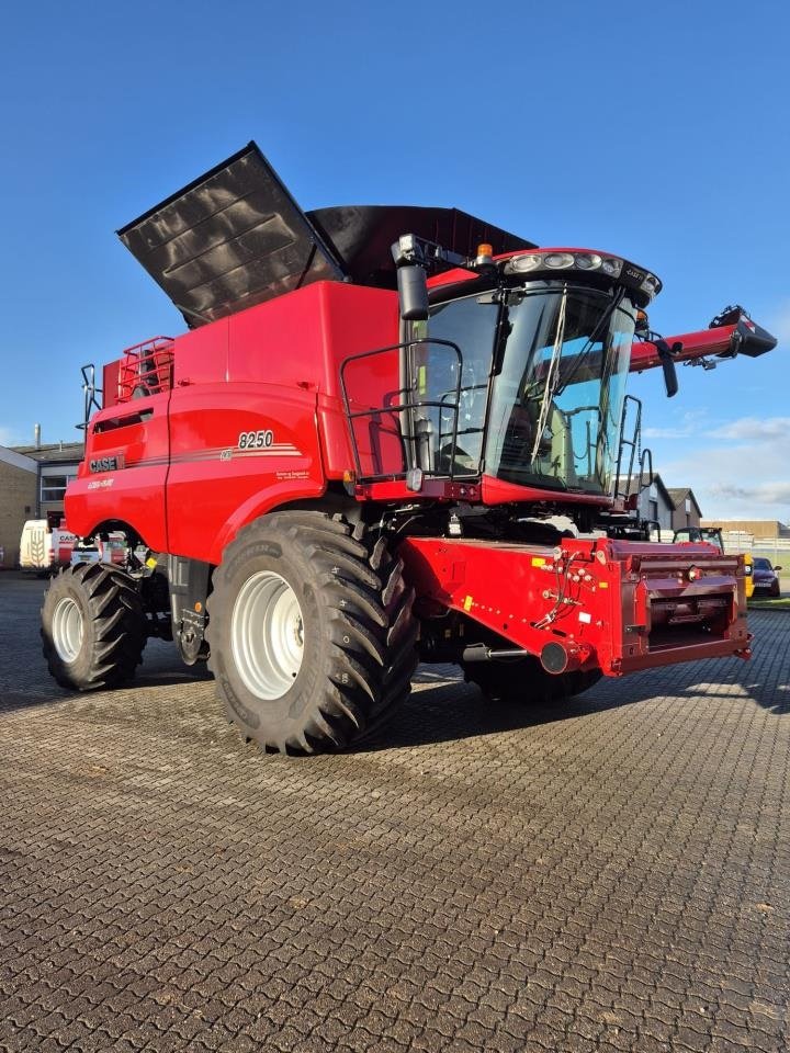 Mähdrescher типа Case IH AXIAL-FLOW 8250, Gebrauchtmaschine в Viborg (Фотография 1)