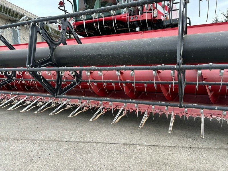 Mähdrescher a típus Case IH Axial Flow 8250, Gebrauchtmaschine ekkor: Rollwitz (Kép 12)