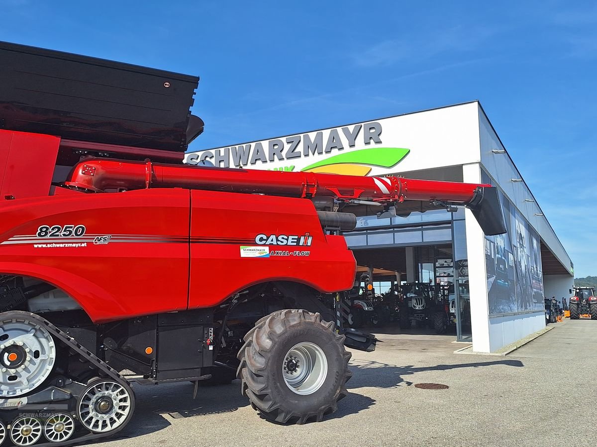 Mähdrescher del tipo Case IH Axial-Flow® 8250, Neumaschine en Gampern (Imagen 26)