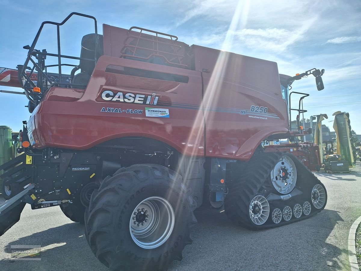 Mähdrescher of the type Case IH Axial-Flow® 8250, Neumaschine in Gampern (Picture 5)