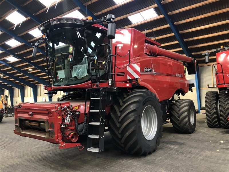 Mähdrescher typu Case IH Axial flow 9250 // GOOD PRICE, Gebrauchtmaschine v Aalborg SV (Obrázok 1)