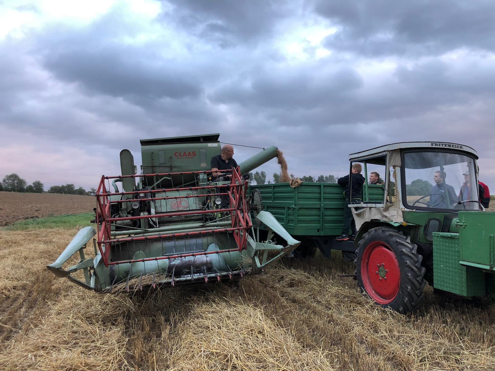 Mähdrescher del tipo CLAAS Columbus, Gebrauchtmaschine en Töpen (Imagen 3)