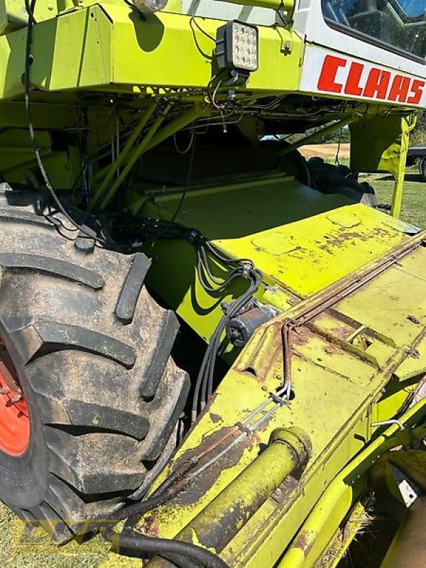 Mähdrescher des Typs CLAAS Dominator 86, Gebrauchtmaschine in Steinau-Rebsdorf (Bild 13)