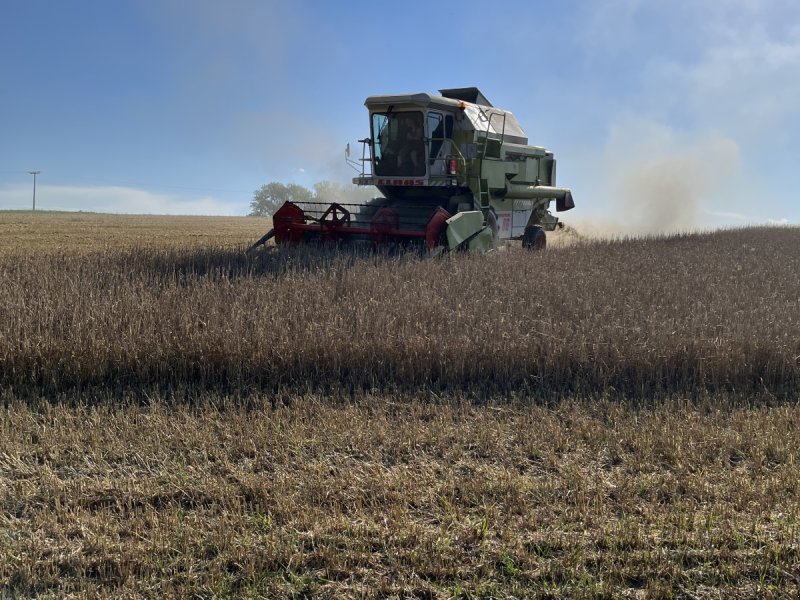 Mähdrescher van het type CLAAS Dominator 86, Gebrauchtmaschine in Eching (Foto 1)