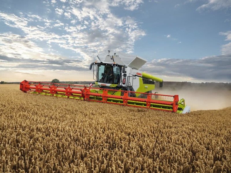 Mähdrescher des Typs CLAAS GEBR. MÄHDRESCHER LEXION8700TT, Gebrauchtmaschine in Grimma (Bild 1)