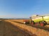 Mähdrescher του τύπου CLAAS Lexion 450 Evolution + C750 skærebord og rapsforsats, Gebrauchtmaschine σε Haderslev (Φωτογραφία 1)