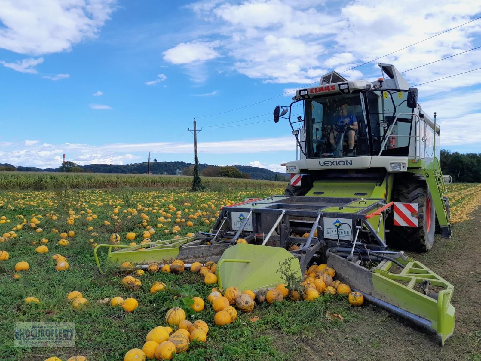 Mähdrescher του τύπου CLAAS Lexion 450 Evolution, Gebrauchtmaschine σε Wies (Φωτογραφία 2)