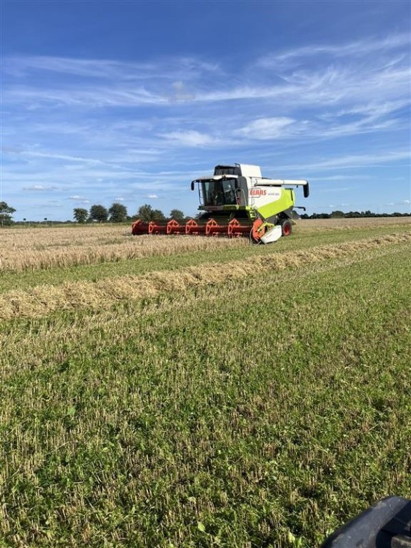 Mähdrescher tip CLAAS Lexion 550, Gebrauchtmaschine in Bredebro (Poză 2)