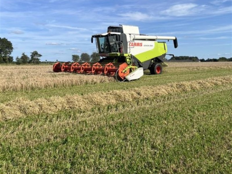 Mähdrescher des Typs CLAAS Lexion 550, Gebrauchtmaschine in Bredebro (Bild 1)