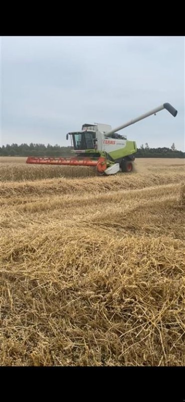 Mähdrescher typu CLAAS Lexion 550, Gebrauchtmaschine w Bredebro (Zdjęcie 3)