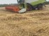 Mähdrescher typu CLAAS Lexion 550, Gebrauchtmaschine w Bredebro (Zdjęcie 4)