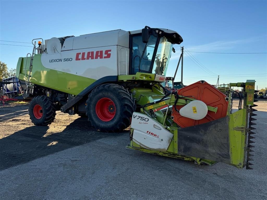 Mähdrescher van het type CLAAS LEXION 560 Rystemaskine Incl. 8 meter skærebord. Ring til Ulrik på 40255544. Jeg snakker Jysk, tysk og engelsk., Gebrauchtmaschine in Kolding (Foto 8)