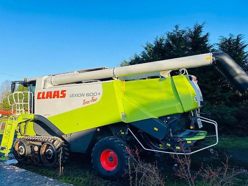 Mähdrescher del tipo CLAAS LEXION 600TT, Gebrauchtmaschine In Kaunas (Immagine 10)