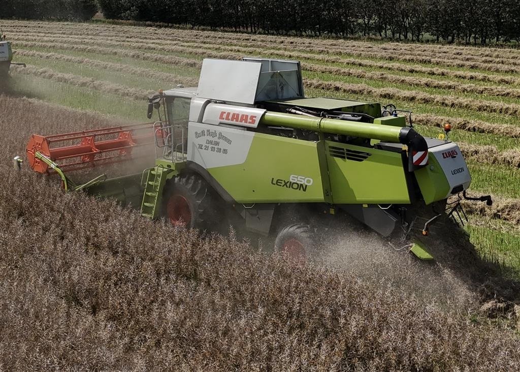 Mähdrescher typu CLAAS LEXION 650 KUN 850 TIMER OG V770 SKÆREBORD!, Gebrauchtmaschine v Nørager (Obrázok 1)