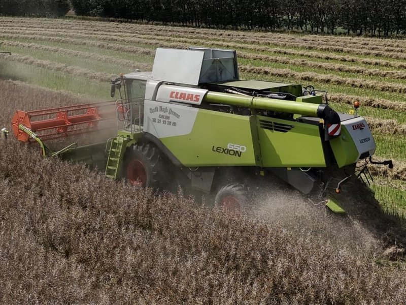 Mähdrescher of the type CLAAS LEXION 650 KUN 850 TIMER OG V770 SKÆREBORD!, Gebrauchtmaschine in Nørager (Picture 1)