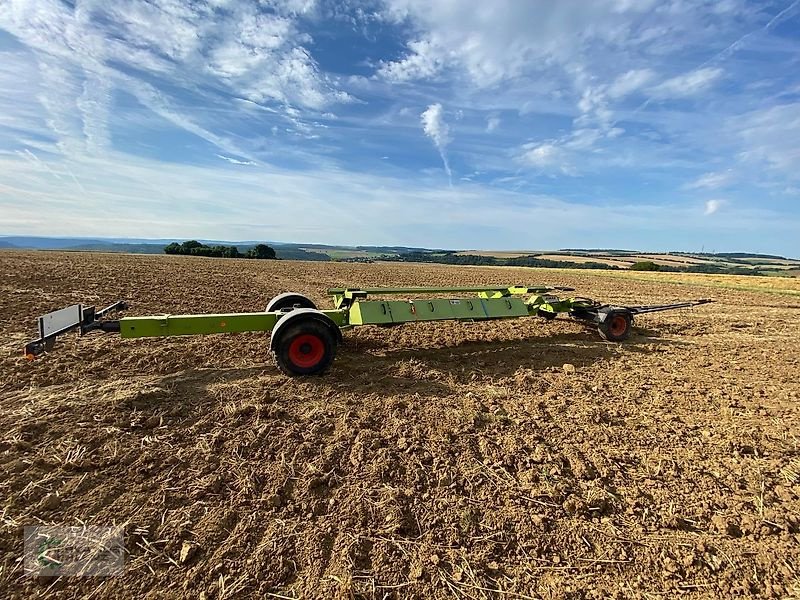 Mähdrescher typu CLAAS Lexion 670 Terra Trac mit V 750, Gebrauchtmaschine v Rittersdorf (Obrázek 10)