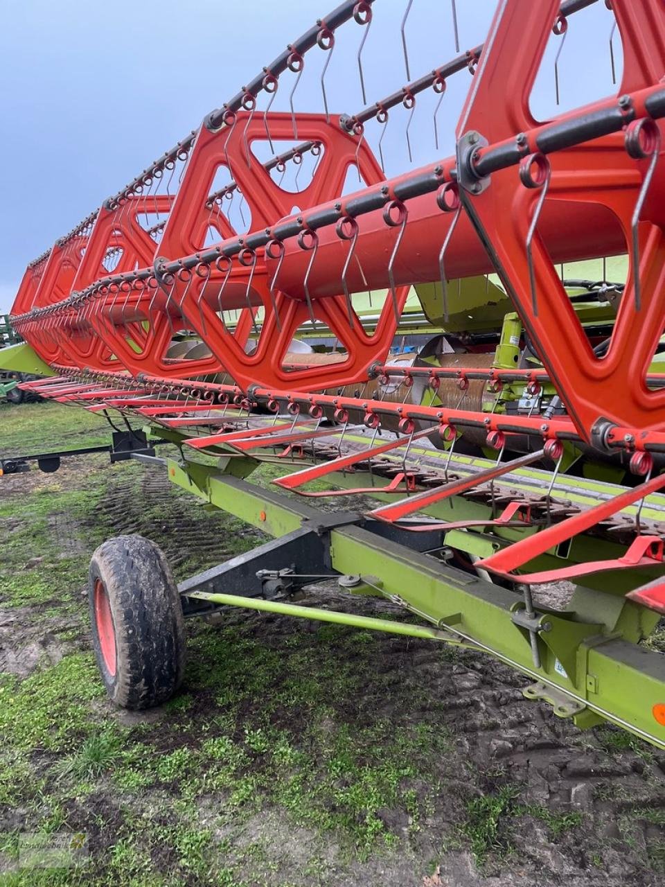 Mähdrescher del tipo CLAAS Lexion 670 TT, Gebrauchtmaschine en Schora (Imagen 15)