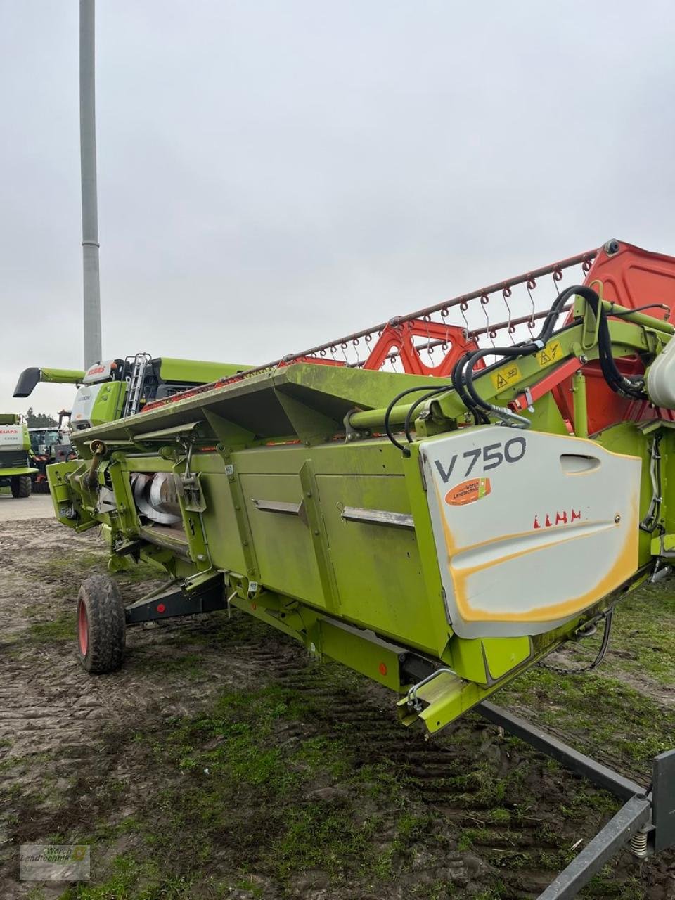 Mähdrescher del tipo CLAAS Lexion 670 TT, Gebrauchtmaschine en Schora (Imagen 19)