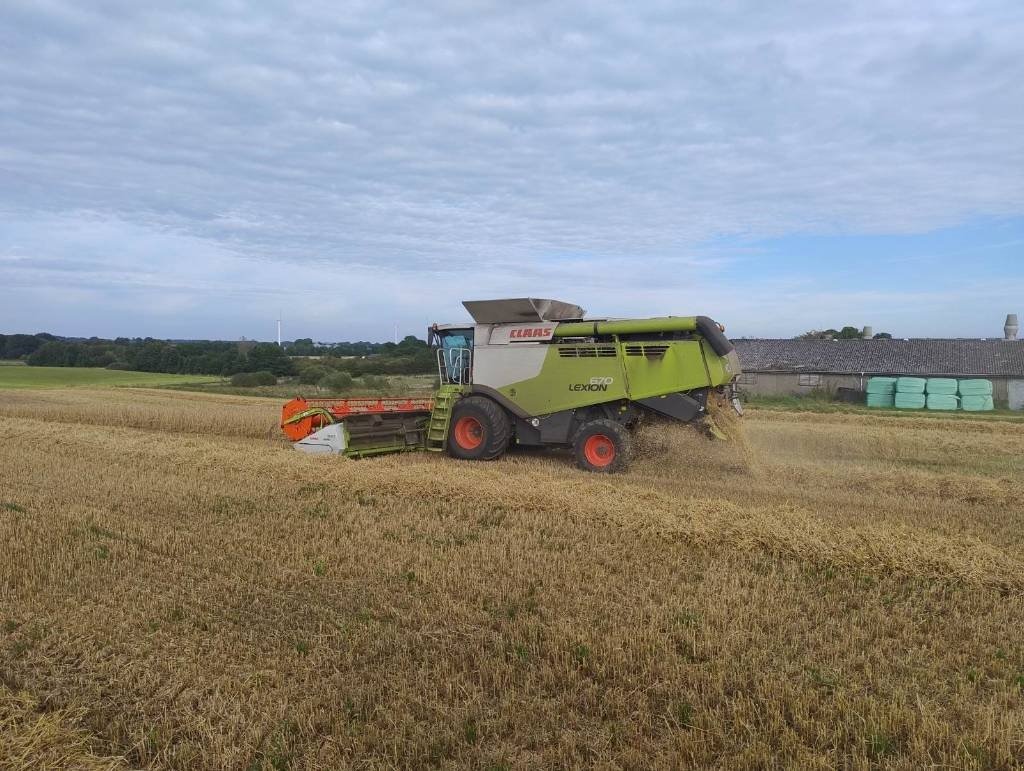 Mähdrescher del tipo CLAAS Lexion 670, Gebrauchtmaschine In Ringe (Immagine 2)